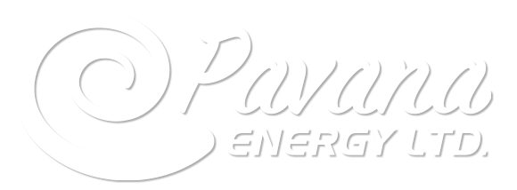 Pavana Logo White 2021